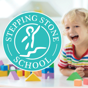 Stepping Stone Featured image