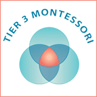 Tier 3 badge