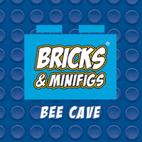 Bricks & Minifigs badge